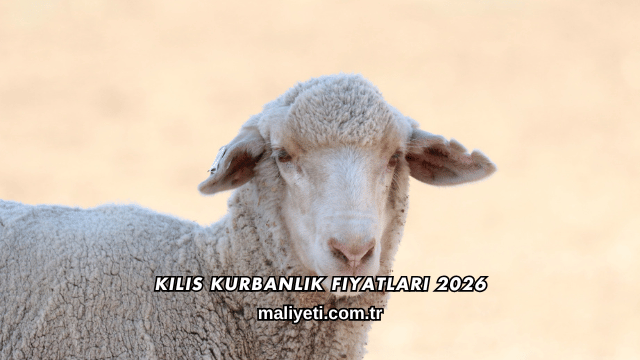 Kilis Kurbanlık Fiyatları 2026