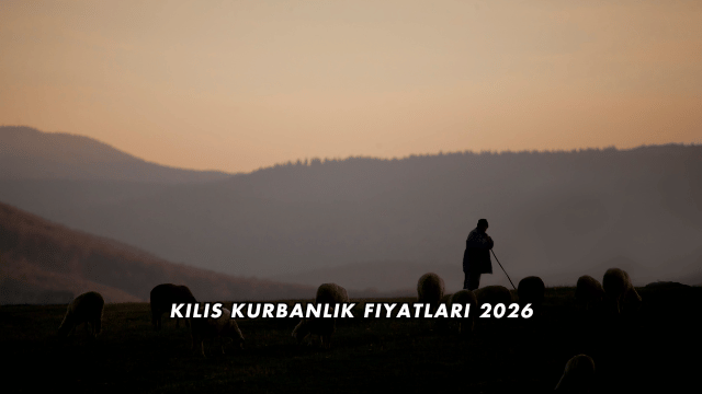 Kilis Kurbanlık Fiyatları 2026