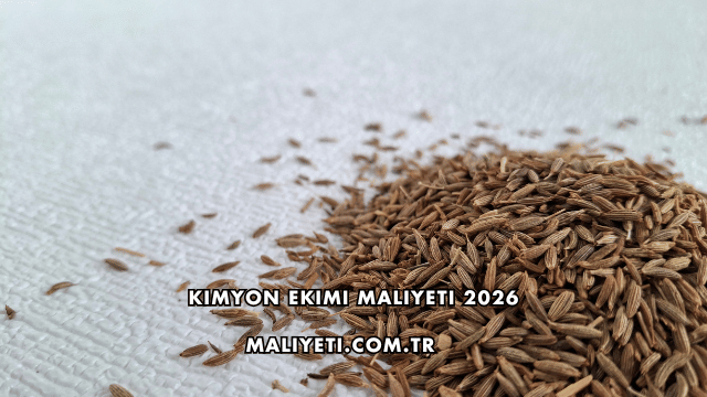 Kimyon Ekimi Maliyeti 2026