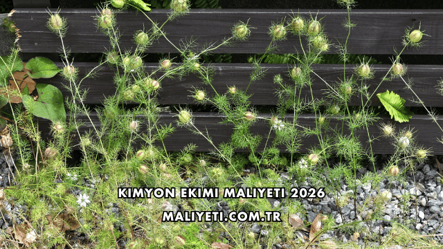 Kimyon Ekimi Maliyeti 2026