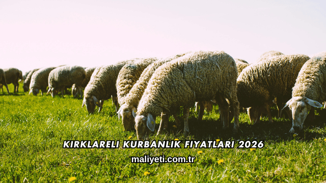 Kırklareli Kurbanlık Fiyatları 2026
