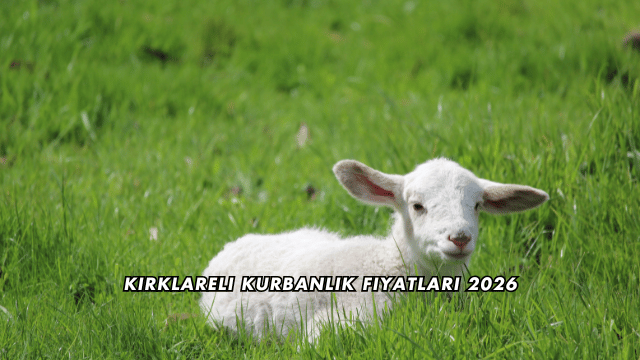 Kırklareli Kurbanlık Fiyatları 2026