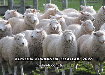 Kırşehir Kurbanlık Fiyatları 2026