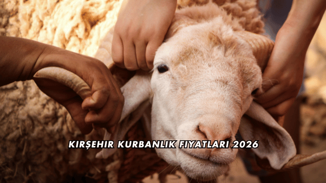 Kırşehir Kurbanlık Fiyatları 2026