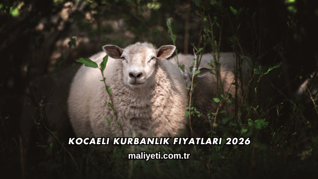 Kocaeli Kurbanlık Fiyatları 2026