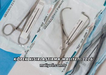 Köpek Kısırlaştırma Maliyeti 2026