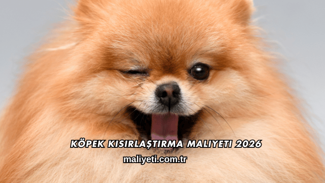Köpek Kısırlaştırma Maliyeti 2026