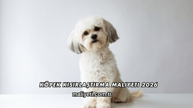 Köpek Kısırlaştırma Maliyeti 2026