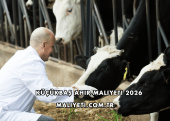 Küçükbaş Ahır Maliyeti 2026