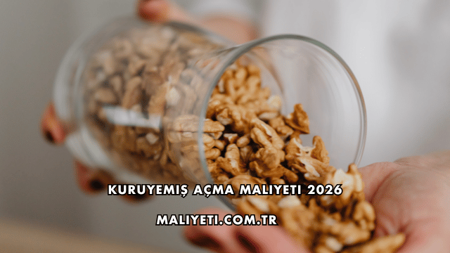 Kuruyemiş Açma Maliyeti 2026
