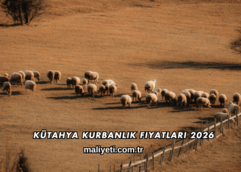 Kütahya Kurbanlık Fiyatları 2026