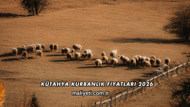 Kütahya Kurbanlık Fiyatları 2026