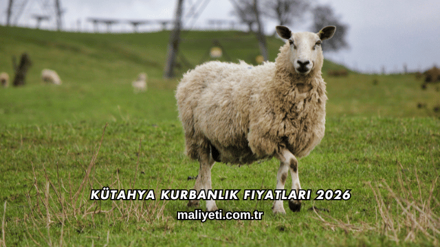 Kütahya Kurbanlık Fiyatları 2026