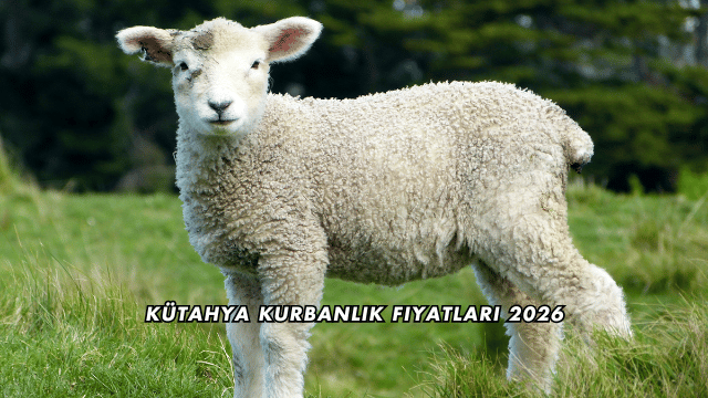 Kütahya Kurbanlık Fiyatları 2026