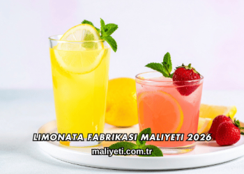 Limonata Fabrikası Maliyeti 2026