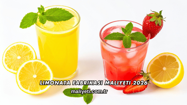 Limonata Fabrikası Maliyeti 2026