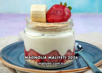 Magnolia Maliyeti 2026