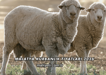 Malatya Kurbanlık Fiyatları 2026