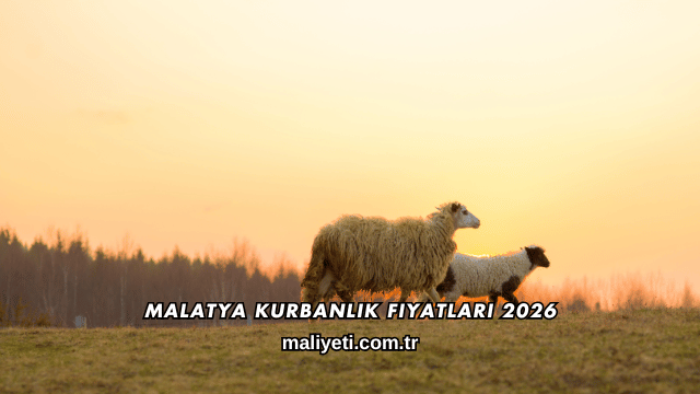 Malatya Kurbanlık Fiyatları 2026