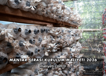 Mantar Serası Kurulum Maliyeti 2026