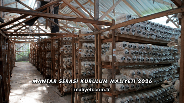 Mantar Serası Kurulum Maliyeti 2026