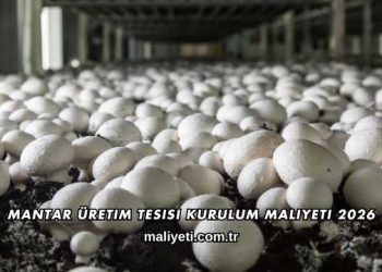 Mantar Üretim Tesisi Kurulum Maliyeti 2026