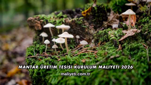 Mantar Üretim Tesisi Kurulum Maliyeti 2026