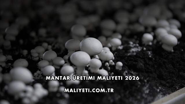Mantar Üretimi Maliyeti 2026