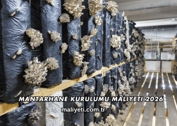 Mantarhane Kurulumu Maliyeti 2026