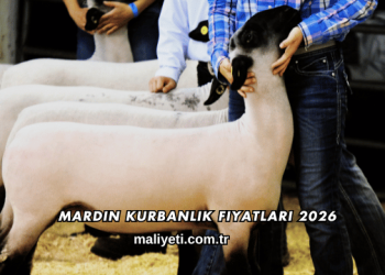 Mardin Kurbanlık Fiyatları 2026