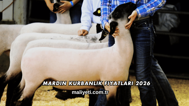 Mardin Kurbanlık Fiyatları 2026