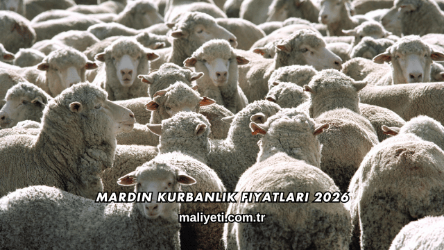 Mardin Kurbanlık Fiyatları 2026