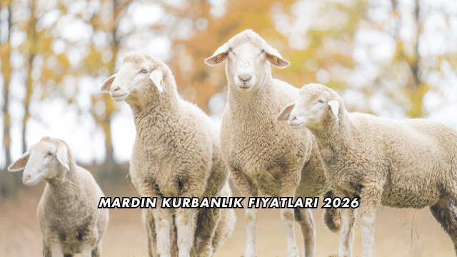 Mardin Kurbanlık Fiyatları 2026