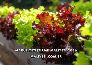Marul Yetiştirme Maliyeti 2026