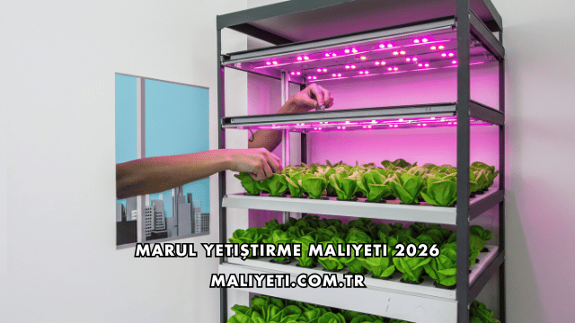 Marul Yetiştirme Maliyeti 2026