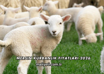 Mersin Kurbanlık Fiyatları 2026