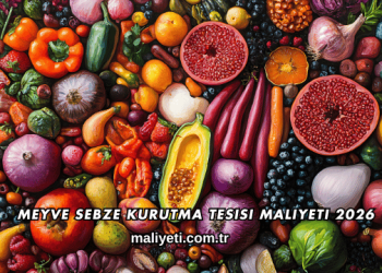 Meyve Sebze Kurutma Tesisi Maliyeti 2026