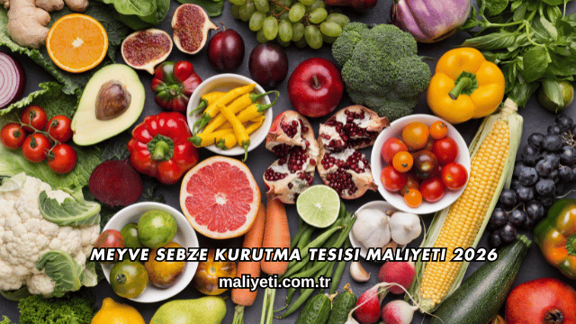 Meyve Sebze Kurutma Tesisi Maliyeti 2026