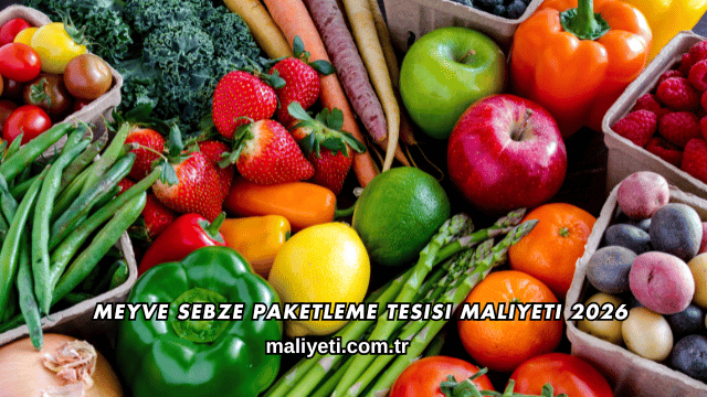 Meyve Sebze Paketleme Tesisi Maliyeti 2026