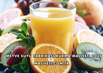 Meyve Suyu Fabrikası Kurma Maliyeti 2026