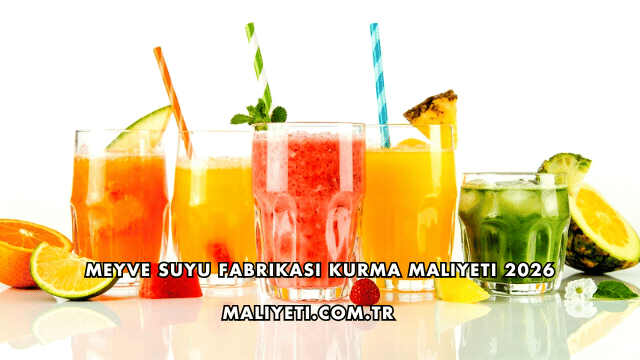 Meyve Suyu Fabrikası Kurma Maliyeti 2026