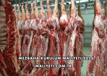 Mezbaha Kurulum Maliyeti 2026