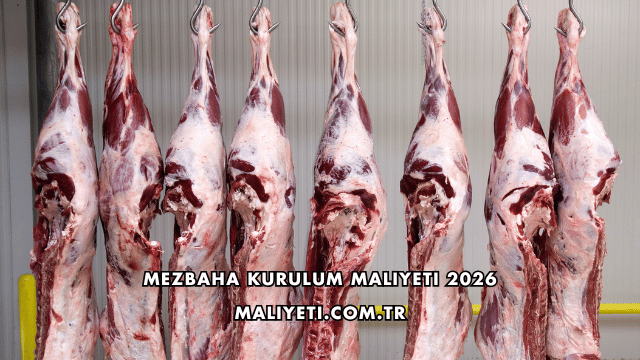 Mezbaha Kurulum Maliyeti 2026