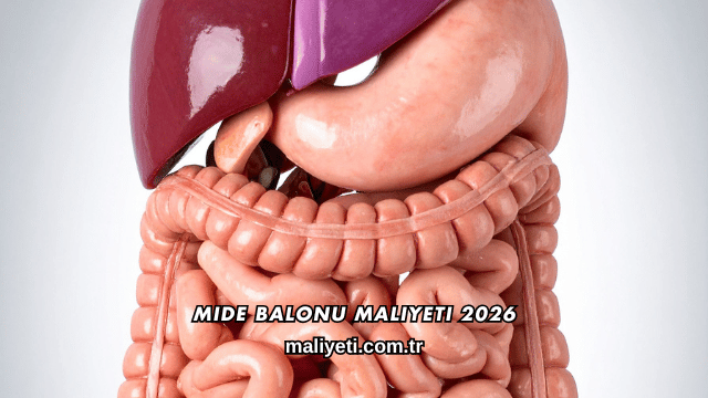 Mide Balonu Maliyeti 2026