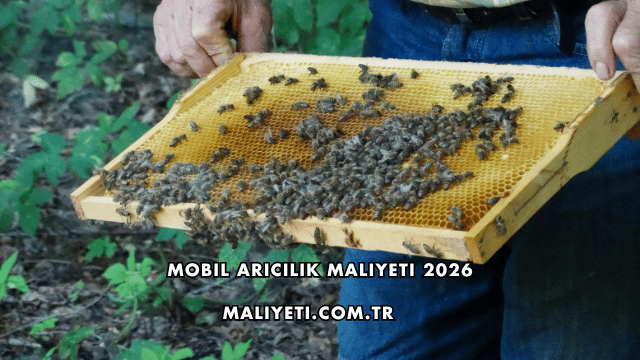 Mobil Arıcılık Maliyeti 2026