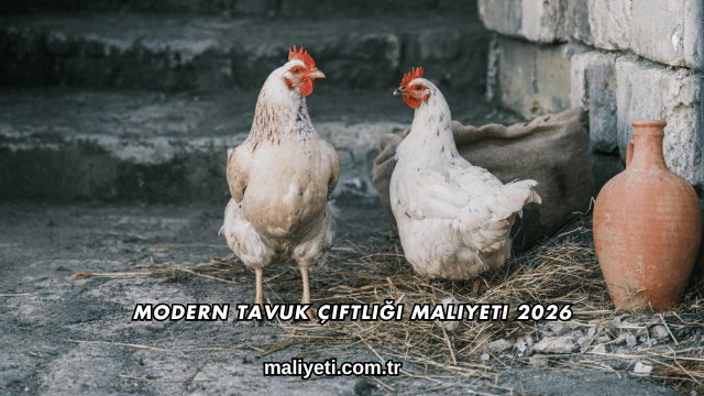 Modern Tavuk Çiftliği Maliyeti 2026