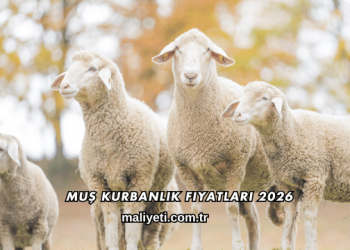 Muş Kurbanlık Fiyatları 2026