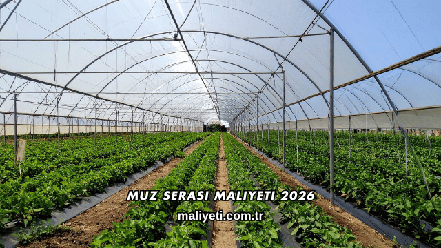 Muz Serası Maliyeti 2026