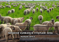 Nevşehir Kurbanlık Fiyatları 2026