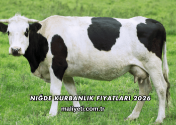 Niğde Kurbanlık Fiyatları 2026